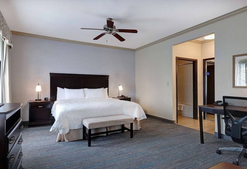 استودیوی استاندارد با تخت دوبل, Hampton Inn & Suites Galveston