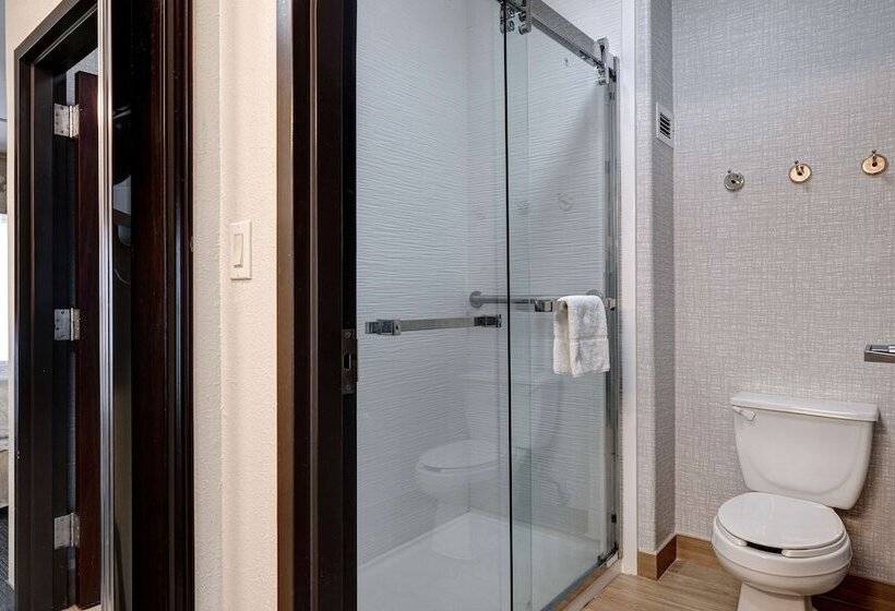استودیوی استاندارد با تخت دوبل, Hampton Inn & Suites Galveston