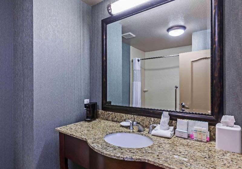 Стандартный Номер Кровать Кинг, Hampton Inn & Suites Lake Jacksonclute