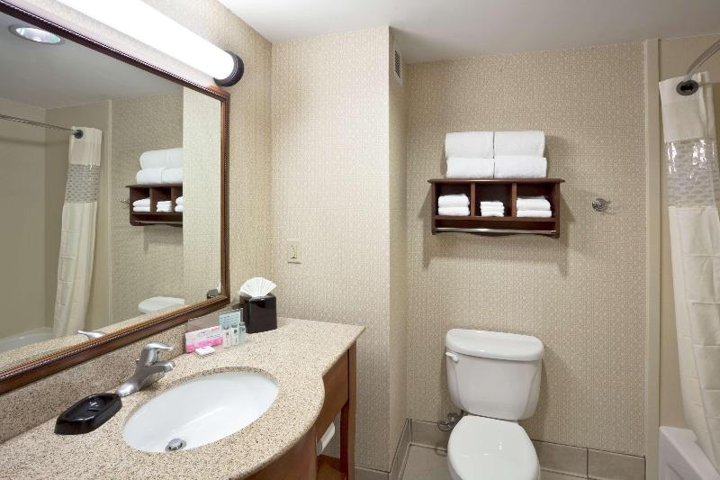 חדר סטנדרט עם מיטת קינג, Hampton Inn & Suitesdallas Allen