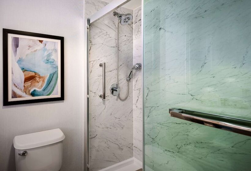 Номер Стандарт Двуспальная Кровать, Hilton Dallas/southlake Town Square