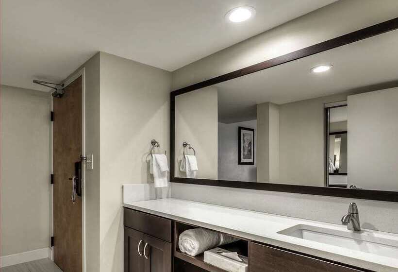 Стандартный Номер Кровать Кинг, Hilton Dallas/southlake Town Square