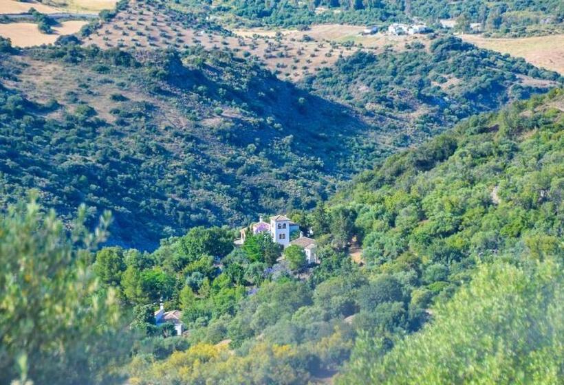 带5个卧室的别墅, Casas Rurales Los Algarrobales