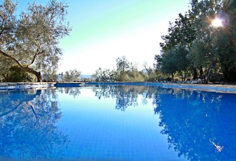 Студио Стандарт с Видом, Casas Rurales Los Algarrobales