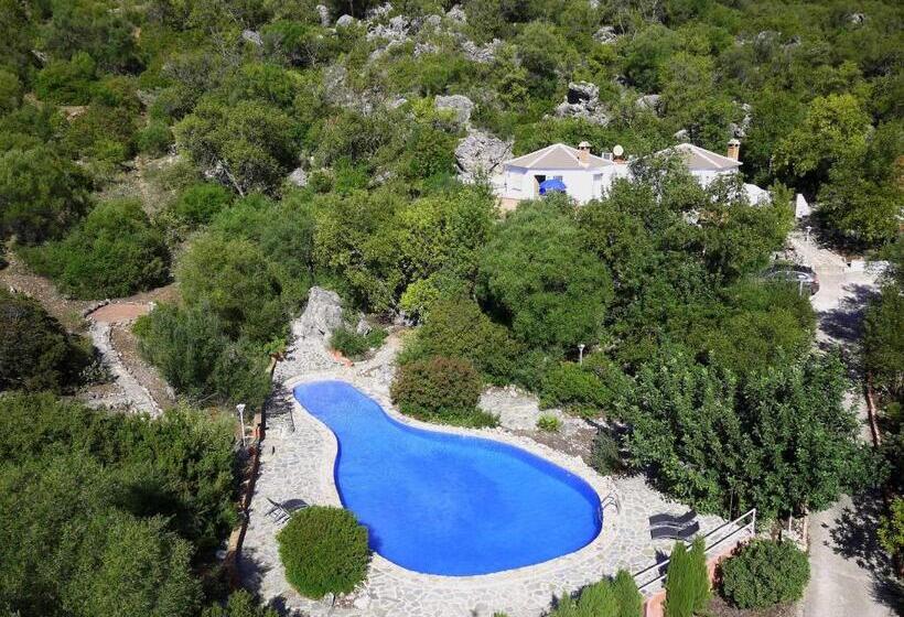Номер Стандарт, Casas Rurales Los Algarrobales