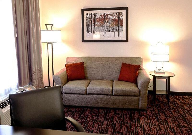 اتاق استاندارد با تخت بزرگ, Hampton Inn & Suites Tulsa/tulsa Hills