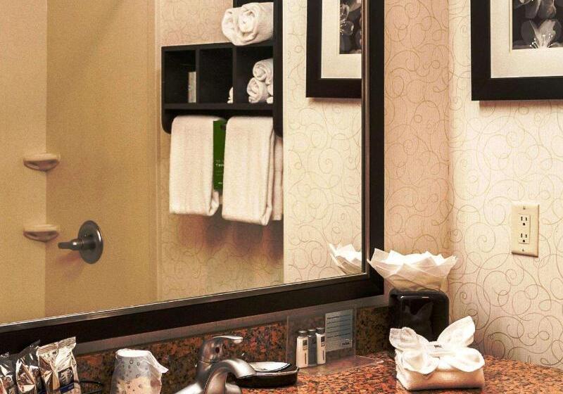 اتاق استاندارد با تخت بزرگ, Hampton Inn & Suites Tulsa/tulsa Hills