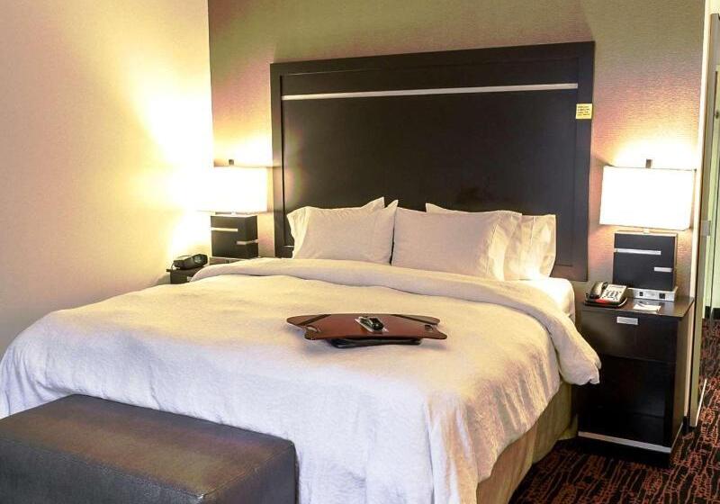 اتاق استاندارد با تخت بزرگ, Hampton Inn & Suites Tulsa/tulsa Hills