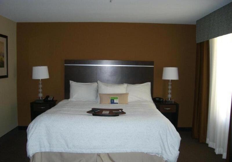 스탠다드 룸 킹사이즈 침대, Hampton Inn & Suites Pueblo/north