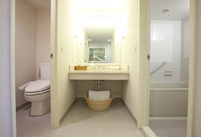 Трехместный Номер Deluxe, Mystays Premier Sapporo Park
