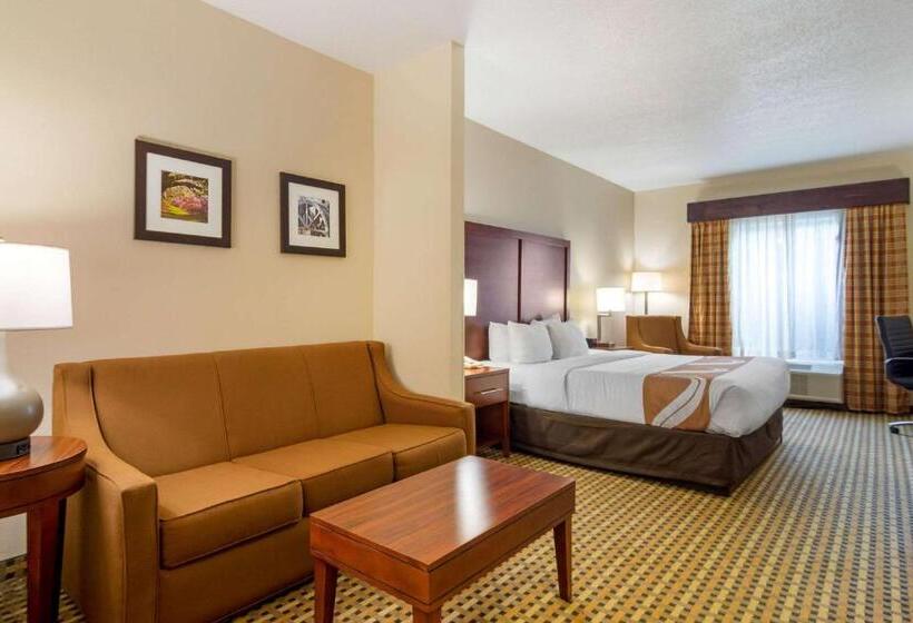 Люкс Кровать Кинг, Quality Inn & Suites Decatur  Atlanta East