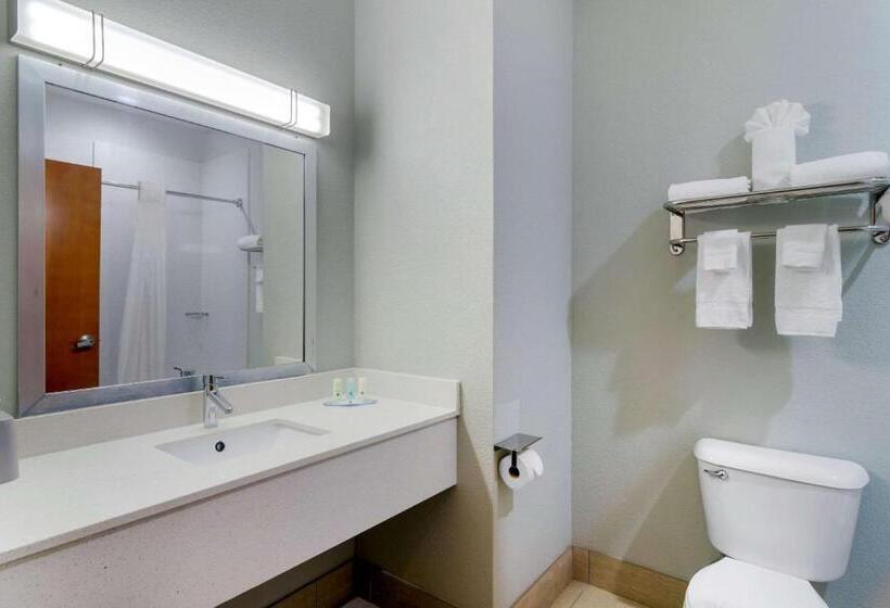 Люкс Кровать Кинг, Quality Inn & Suites Decatur  Atlanta East