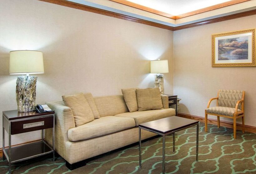 Номер Стандарт 2 Двуспальные Кровати, Quality Inn & Suites Decatur  Atlanta East
