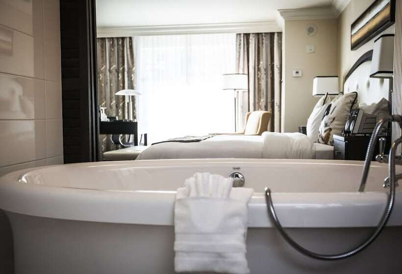 豪华房间, Le St Martin Hotel Centre Ville – Hotel Particulier