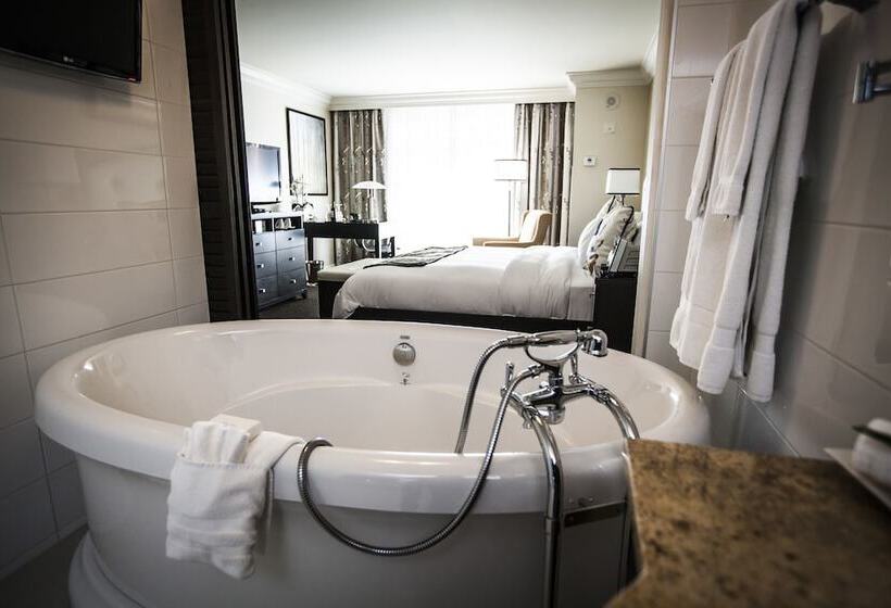 豪华房间, Le St Martin Hotel Centre Ville – Hotel Particulier