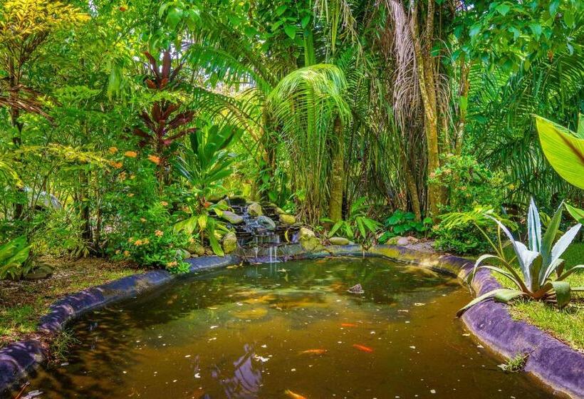 آپارتمان سوپریور 1 خوابه, Faremiti Uvita