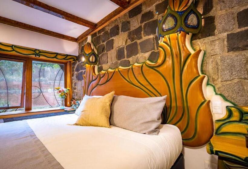 Номер Стандарт, Casa Primal