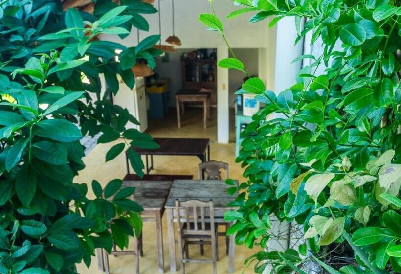 اتاق لوکس با چشم‌انداز دریا, Posada Arigalan