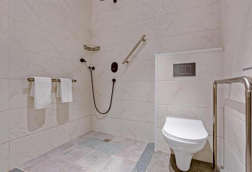 اتاق استاندارد با تخت بزرگ برای معلولان, Ramada By Wyndham Tbilisi Old City