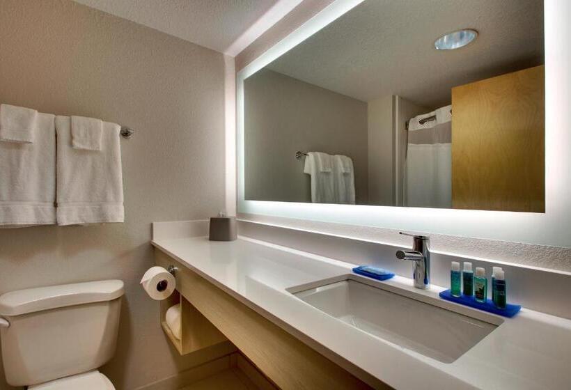 Cameră Standard Pat King Size, Holiday Inn Express Hotel & Suites Cedar Rapids I 380 At 33rd Avenue, An Ihg