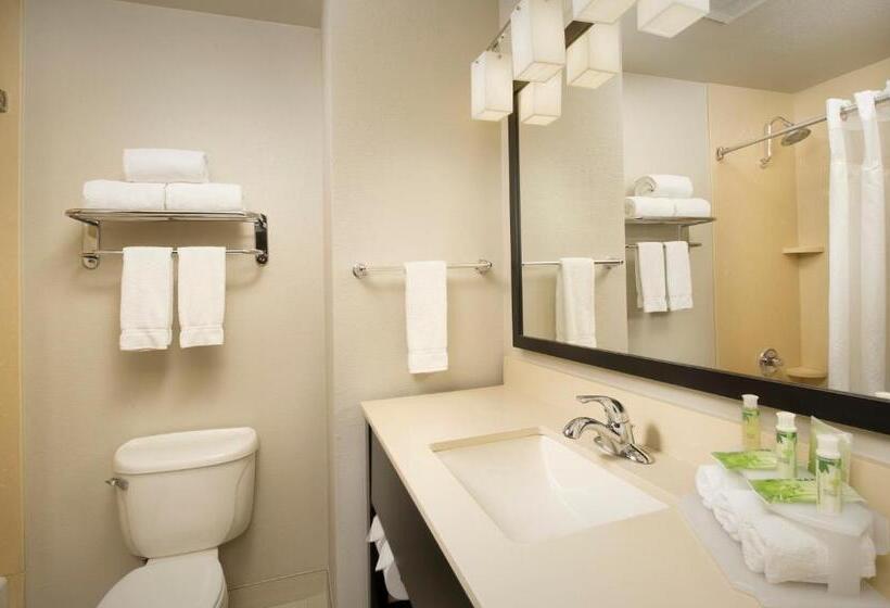 标准间, Holiday Inn Express Hotel And Suites Dfw Grapevine, An Ihg