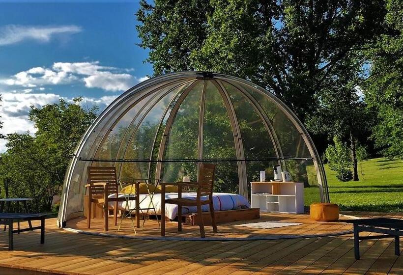 Номер Стандарт с Террасой, Maison D Hôtes Casa Sana