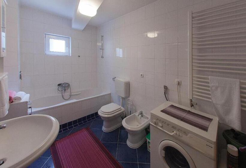 اتاق استاندارد یک تخته با سرویس بهداشتی مشترک, Guesthouse Rota