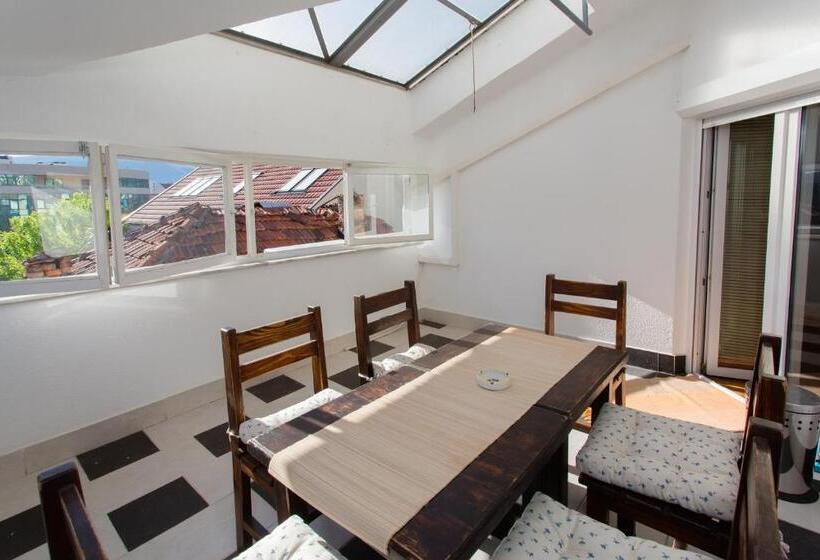استودیوی استاندارد, Guesthouse Rota