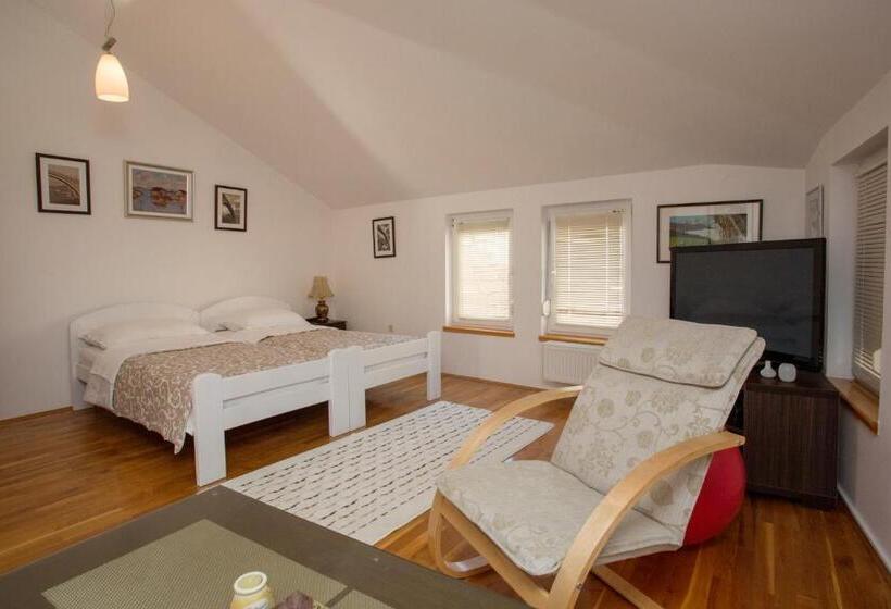 استودیوی استاندارد, Guesthouse Rota