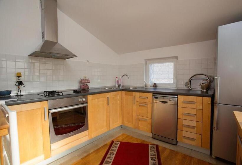 استودیوی استاندارد, Guesthouse Rota