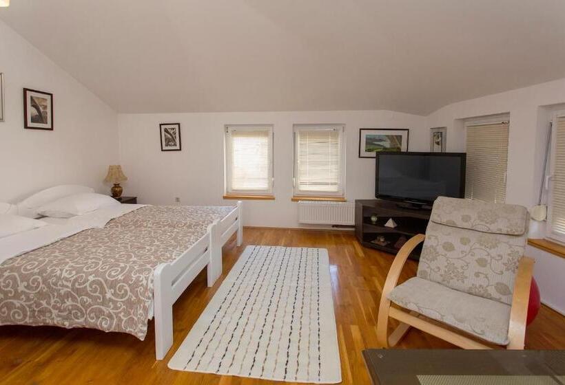 استودیوی استاندارد, Guesthouse Rota