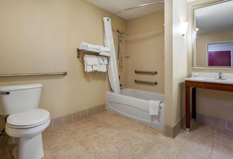 סוויטה מותאמת לאדם עם מוגבלויות, Comfort Suites Daytonwright Patterson