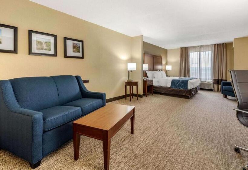 סוויטה מותאמת לאדם עם מוגבלויות, Comfort Suites Daytonwright Patterson