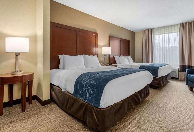 סוויטה מותאמת לאדם עם מוגבלויות, Comfort Suites Daytonwright Patterson