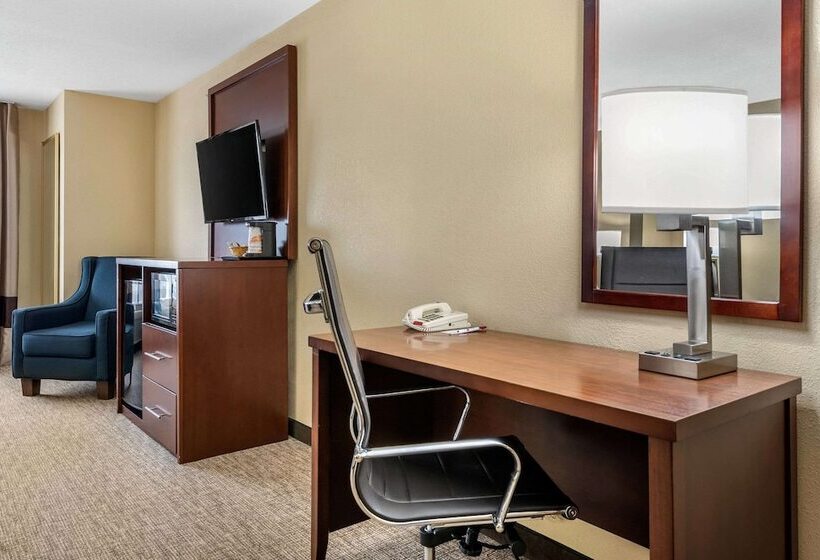 סוויטה מותאמת לאדם עם מוגבלויות, Comfort Suites Daytonwright Patterson