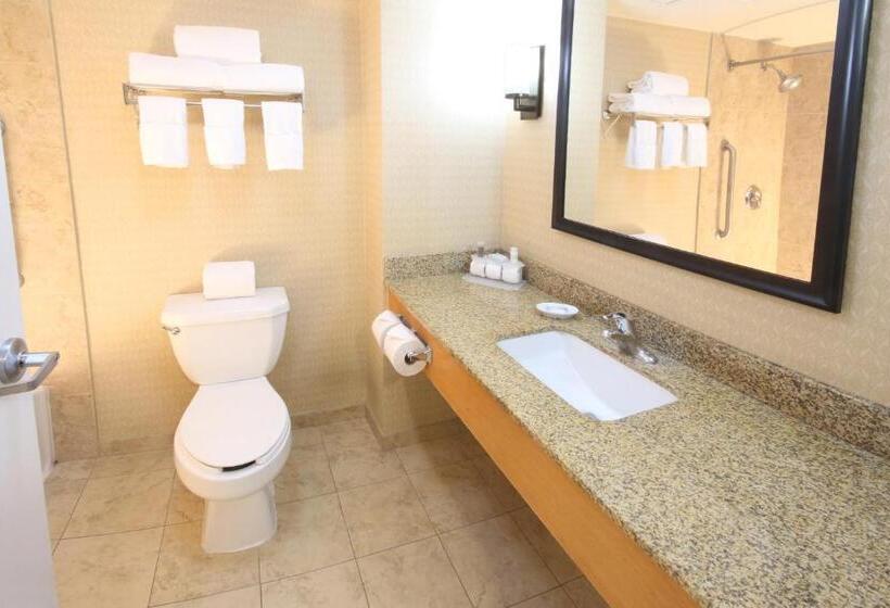 スタンダードルーム, Holiday Inn Express Hotel & Suites Cd. Juarez   Las Misiones, An Ihg