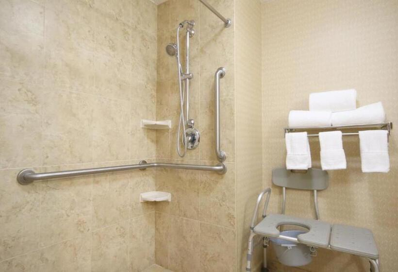 キングサイズベッドのスタンダードルーム, Holiday Inn Express Hotel & Suites Cd. Juarez   Las Misiones, An Ihg