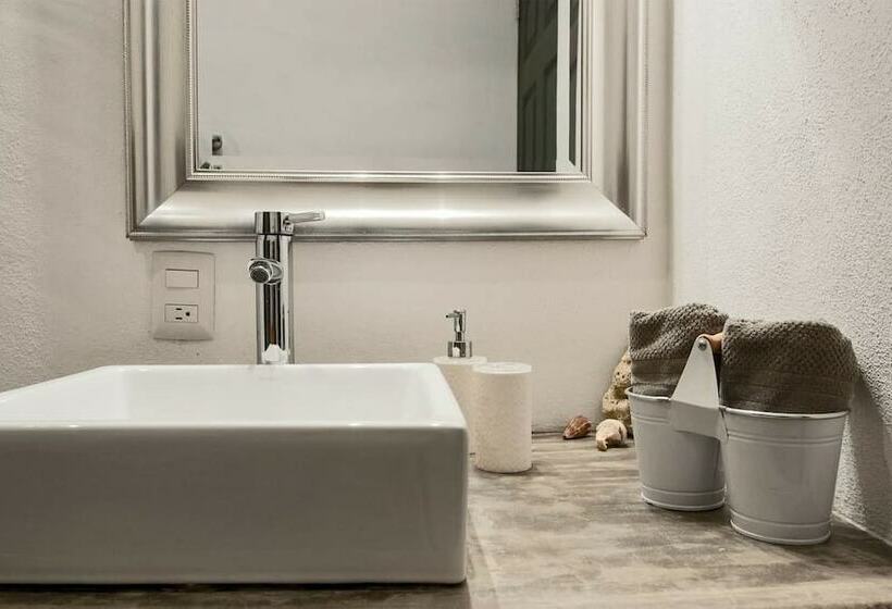 Suite Executive, Casa Nayar
