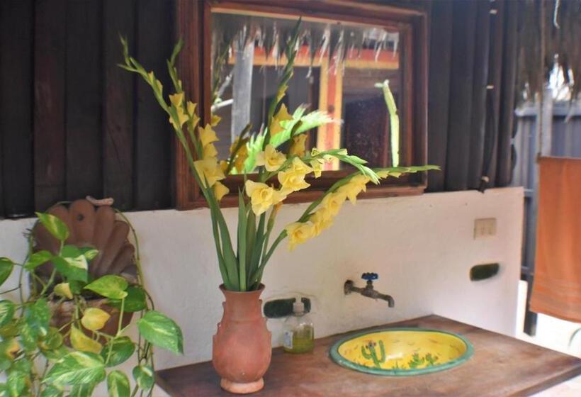 اتاق استاندارد یک نفره, Posada Mexico