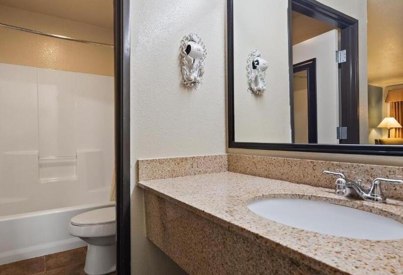 Номер Стандарт, Best Western Regency Inn & Suites