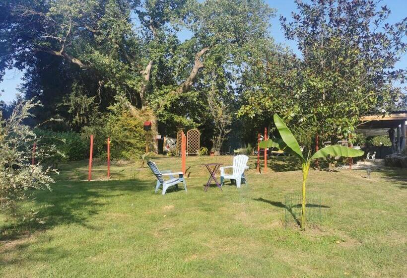 Номер Стандарт, Villa Les Camelias