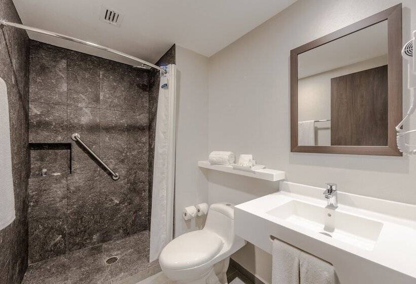 اتاق استاندارد با 2 تخت دوبل, Sleep Inn Guadalajara Galerias