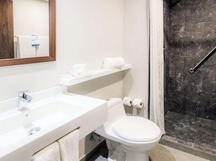 اتاق استاندارد با 2 تخت دوبل, Sleep Inn Guadalajara Galerias