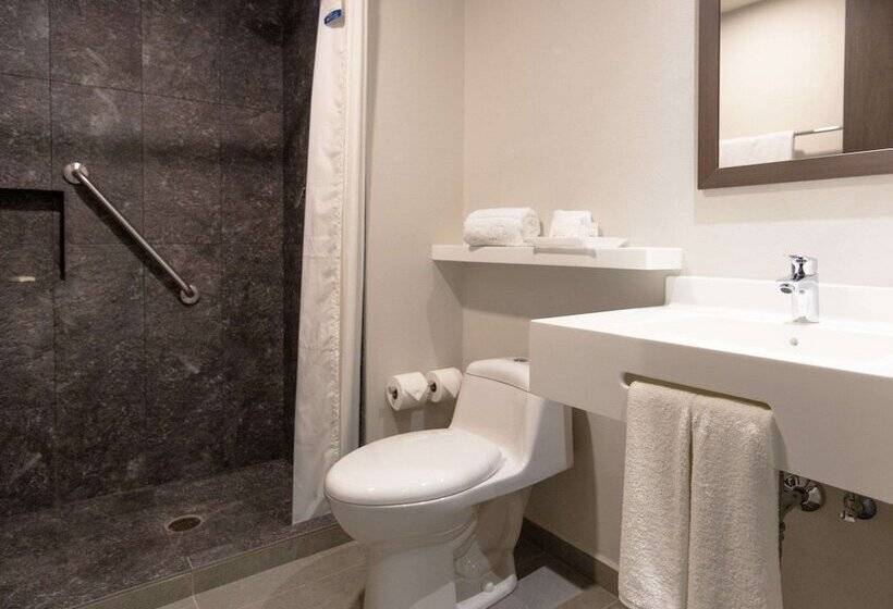 اتاق استاندارد با 2 تخت دوبل, Sleep Inn Guadalajara Galerias