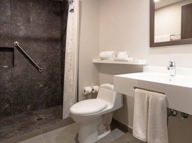 اتاق استاندارد با 2 تخت دوبل, Sleep Inn Guadalajara Galerias