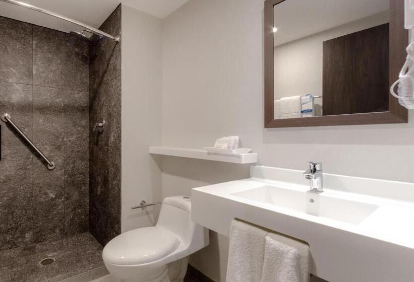 اتاق استاندارد با 2 تخت دوبل, Sleep Inn Guadalajara Galerias