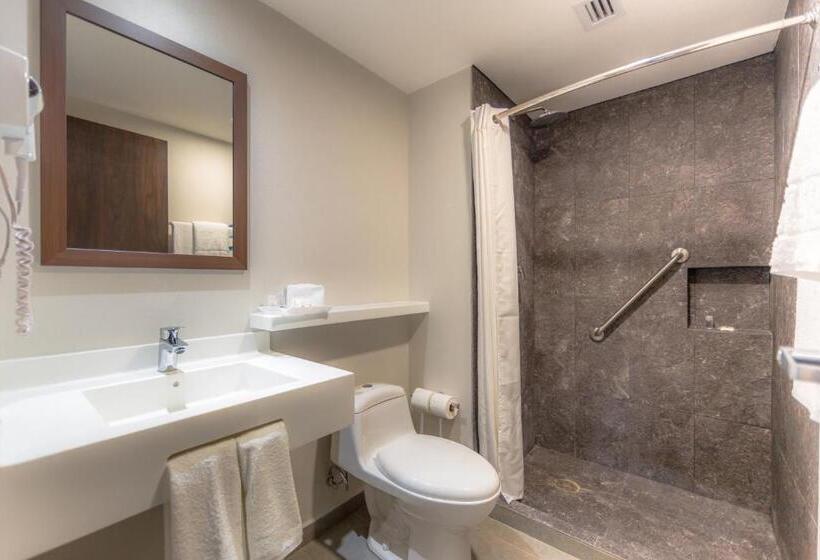 اتاق استاندارد با 2 تخت دوبل, Sleep Inn Guadalajara Galerias