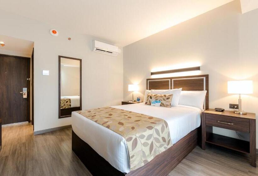 اتاق استاندارد, Sleep Inn Guadalajara Galerias