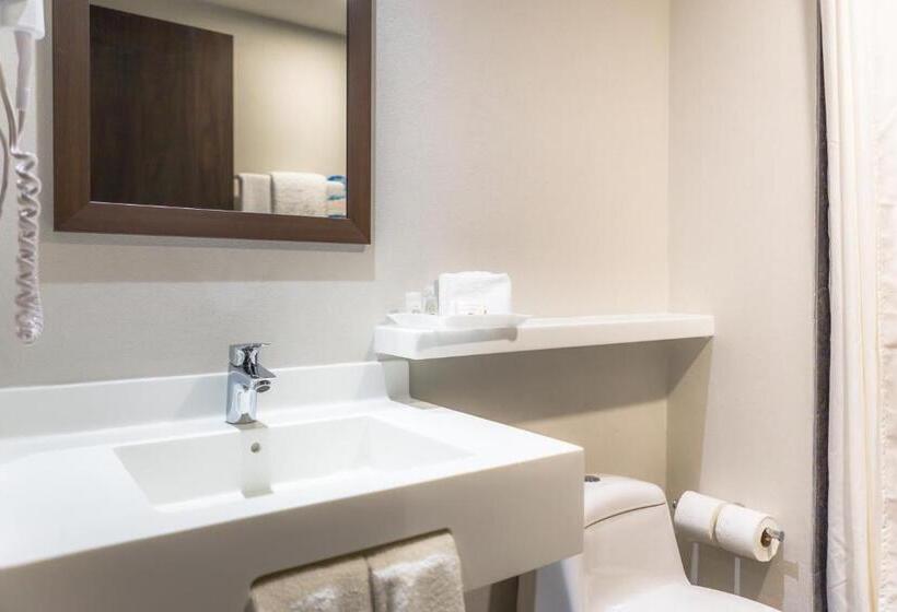 اتاق استاندارد, Sleep Inn Guadalajara Galerias