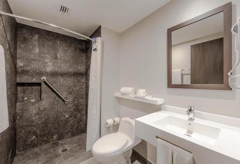 اتاق استاندارد با 2 تخت دوبل, Sleep Inn Guadalajara Galerias